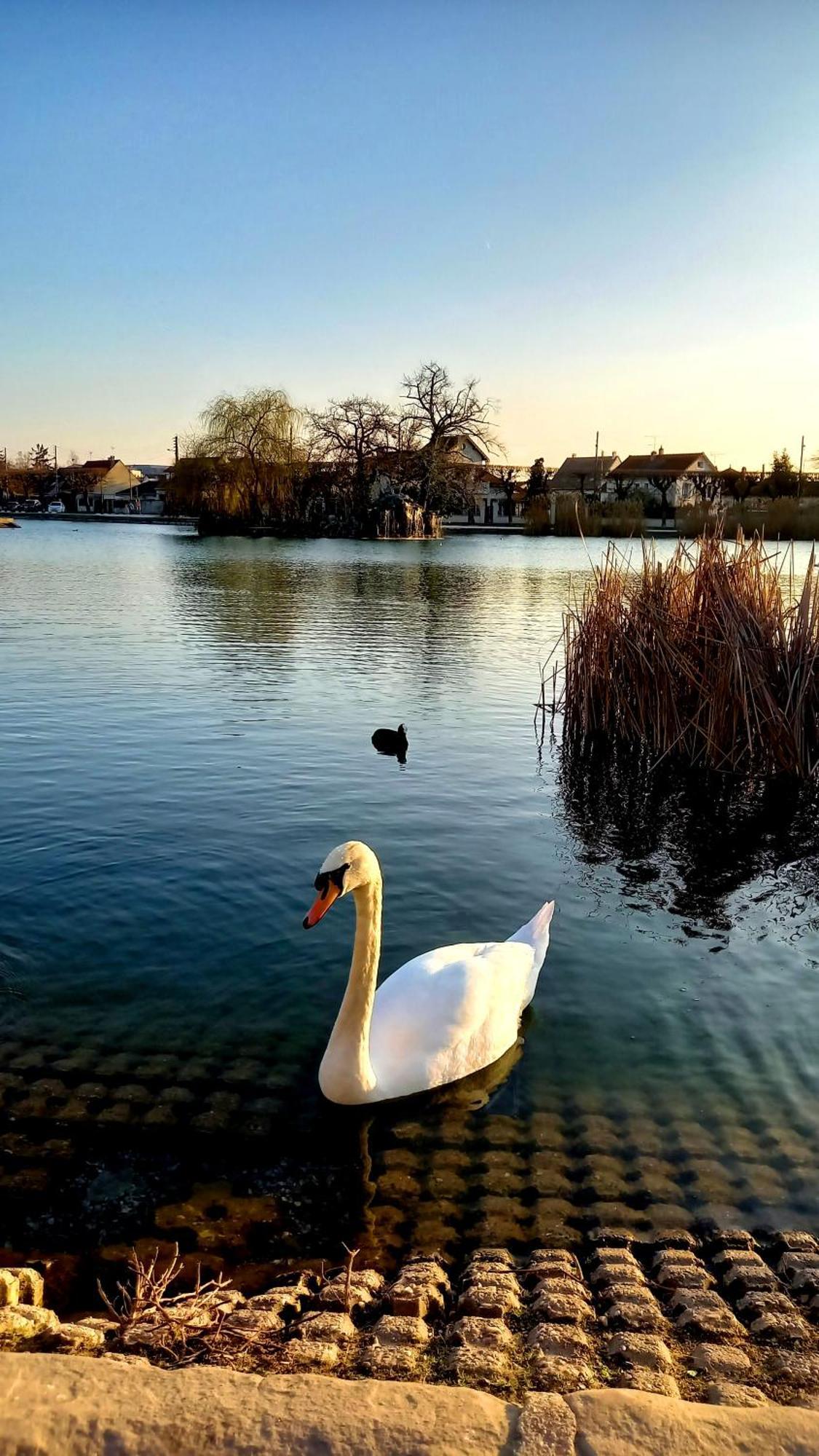 Appartement Cosy ,Wifi ,Gare "Le Refuge Du Lac" Vigneux-sur-Seine Luaran gambar